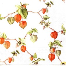 Serviettes en papier physalis lanternes amour en cage. Paper napkins physalis