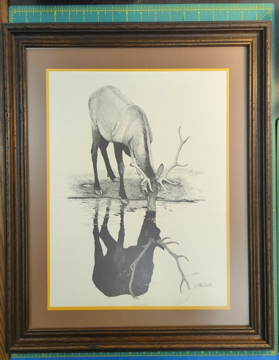 Elk Drinking Water Noel Smith Signed Print 261/925 18X22