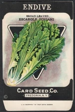 Vintage Seed Packet Endive Escarole Empty Fredonia New York NY 1920's Vegetable