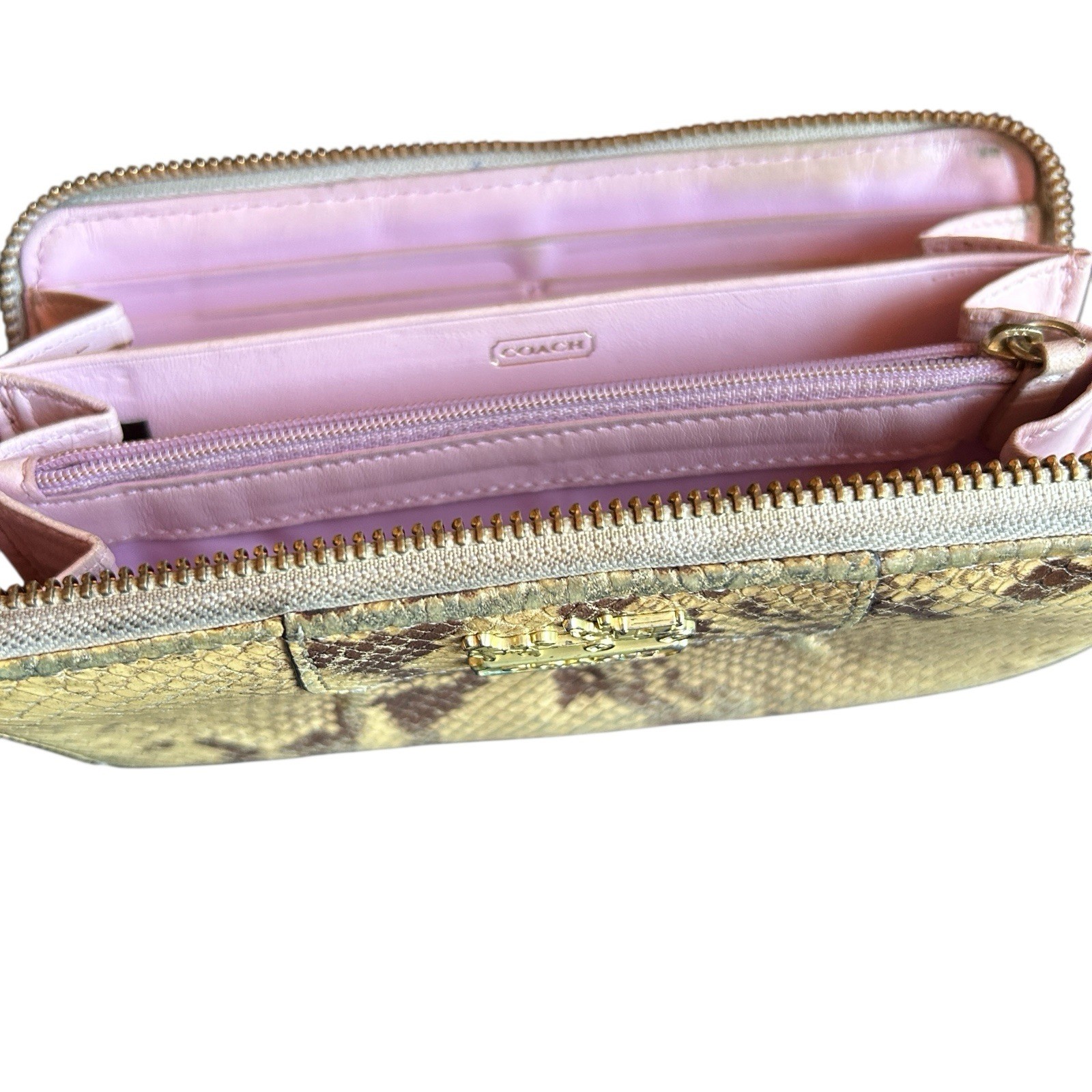 Coach  Python Embossed Genuine Leather Accordian … - image 7