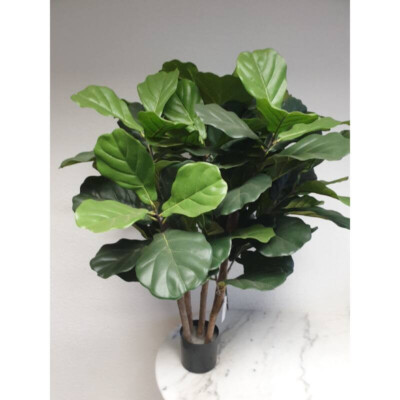 Künstliche Geigenfeige Ficus Lyrata Kunstpflanze im Topf Höhe 90-100 cm Pflanze