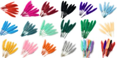50 x Gänsefedern Paket, 10 - 15 cm Kunsthandwerk Kostümherstellung Feder UK
