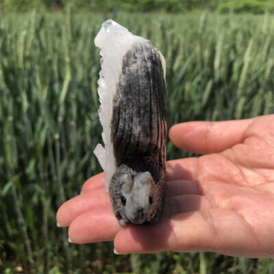170g Natural Geode Quartz Hand Carved Crystal Squirrel Skull Healing 1pc,k4552
