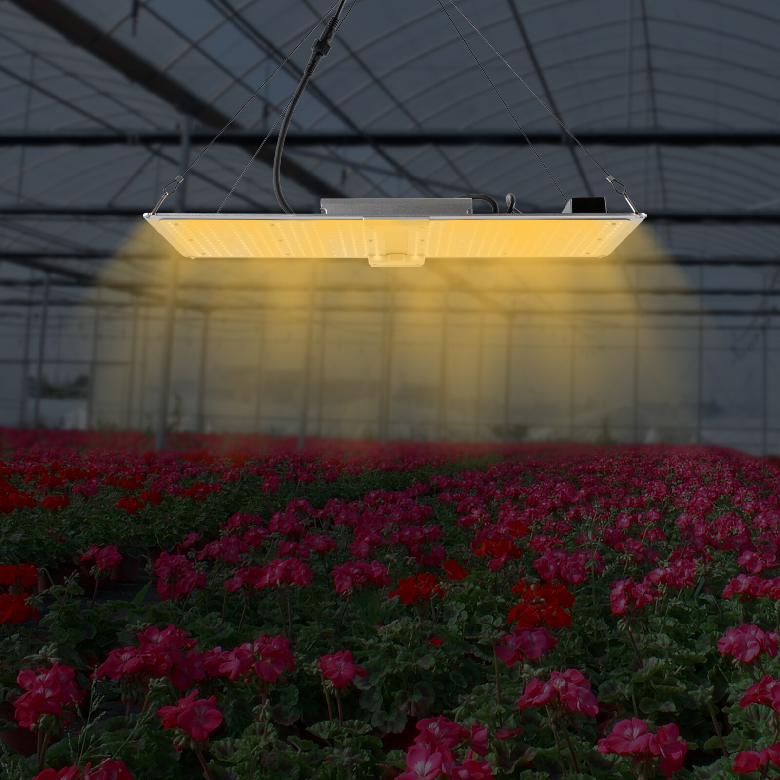 450Watt LED Grow Light Full Spectrum For Indoor Medical Plants Veg Flower Bloom
