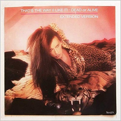 Dead Or Alive - That's The Way I Like It Extended Version - Used  - G5628z