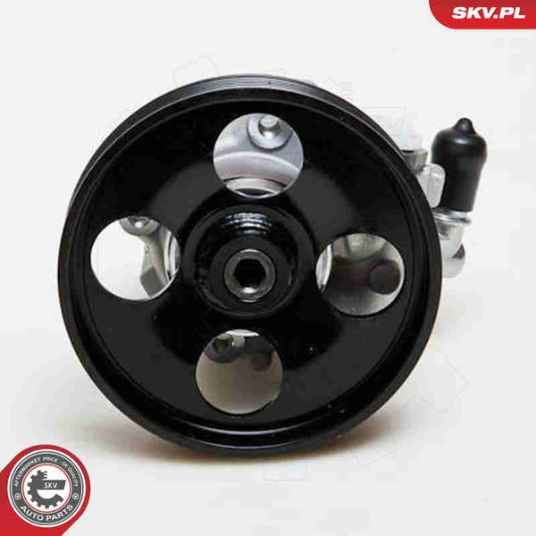 Esen SKV Hydraulikpumpe Lenkung 10SKV009 FüR 406 Peugeot Fiat C5 Scudo Jumpy 806-image