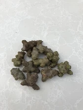 10 Fresh Anredera Cordifolia Heartleaf Maderavine climbing vegetable bulbs