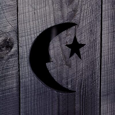 #ad #ad Phish Farmhouse Northern Lights Foil Embossed NEW Sealed Vinyl LP Album $52.99