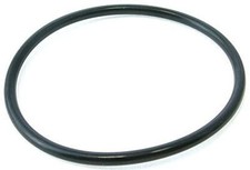 Pentair 59000600Z Bulkhead O-Ring FNS Plus DE Filter