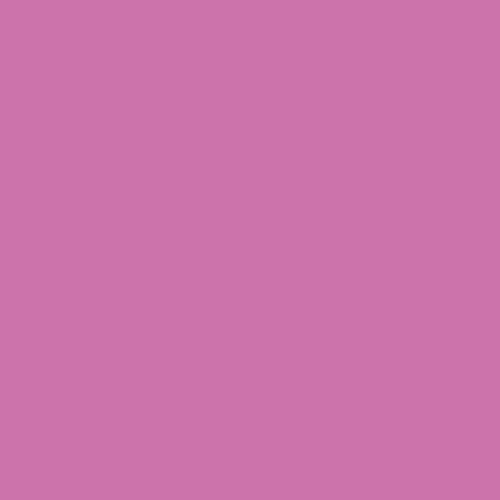 Siser EasyWeed® Stretch HTV Heat Transfer Vinyl for T-Shirts 15" by 12" Sheet(s) - 第 25/39 張圖片