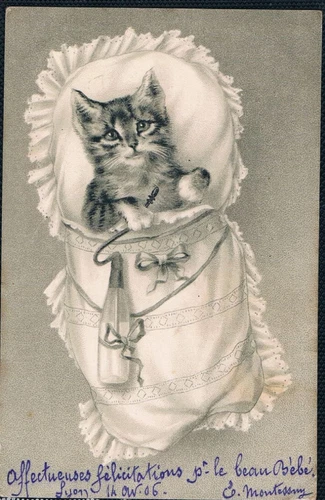 Rare Antique Early 1902s Vintage Litho. French Postcard Sweet Kitty Cat
