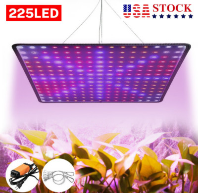 Full Panel Spectrum Quantum Board Professional LED Grow Light For Indoor Plants