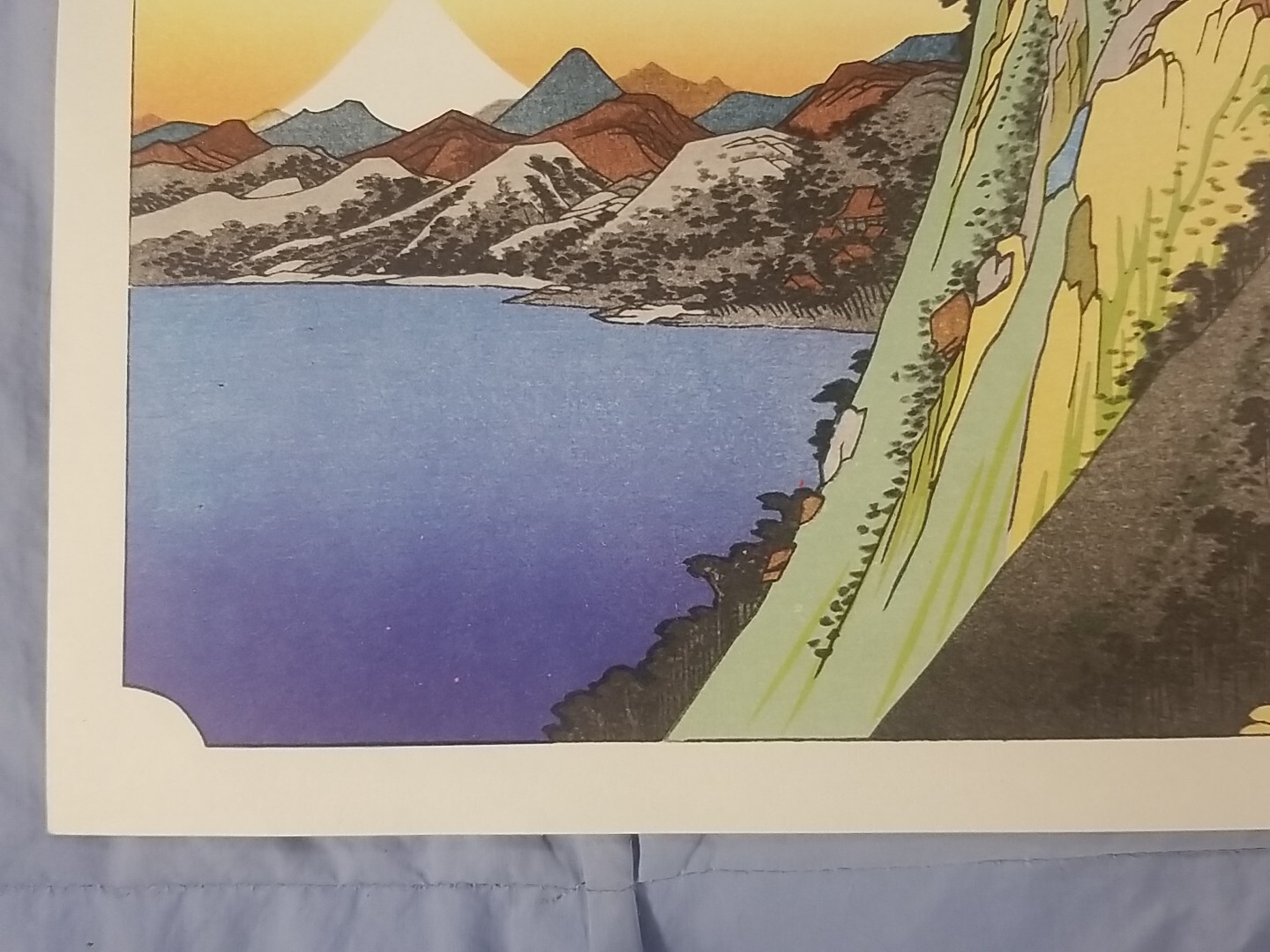 Picture 5 of 5
