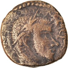 #892295 M&uuml;nze, Mesopotamia, Macrinus, Bronze &AElig;, AD 217-218, Edessa, S+, Bronze