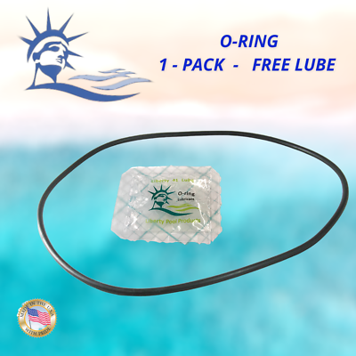 ノン 275333 O-Ring for Pool/Spa Filters and Valve Replacement For