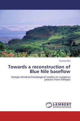 Tommy Wils | Towards a reconstruction of Blue Nile baseflow | Taschenbuch (2012)