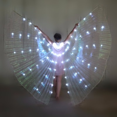 Egyptian Organza Dance Isis Wings in Gold at