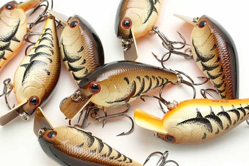 fish speaker lucky lure Luck E Square Bill Rattle 2/5 1/2oz 3 Lucky Craft Pointer 100 SP