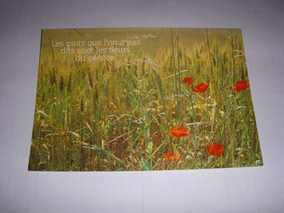 CP POSTCARD MESSAGE FIELD OF FLOWERS The words we didn't say... WRITTEN