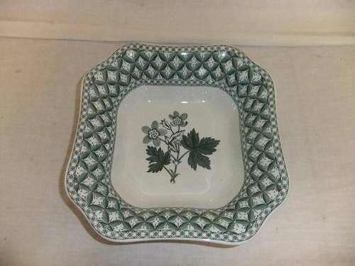c4 Porcelain Spode Green Geranium (microondas, lavavajillas apto) ÚLTIMOS ARTÍCULOS - R6 - Imagen 29 de 36