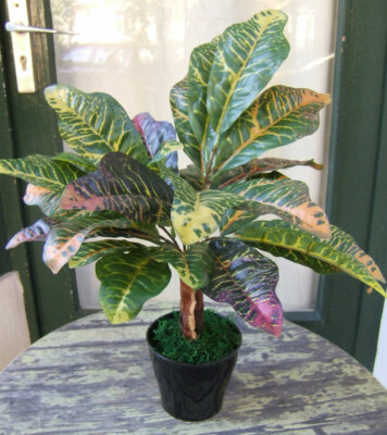 Künstliche Pflanze Croton im Topf ca. 45cm Kunstpflanze