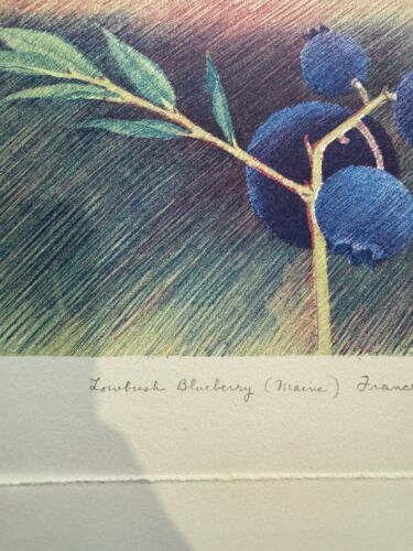 Vintage RARE Series Of Prints By Artist Frances Hodsdon SIGNED originals - Picture 5 of 15