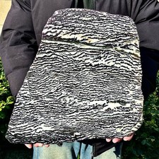 8.29LB Natural of Zebra Stone and Fluorite Coexistence Slice quartz crystal