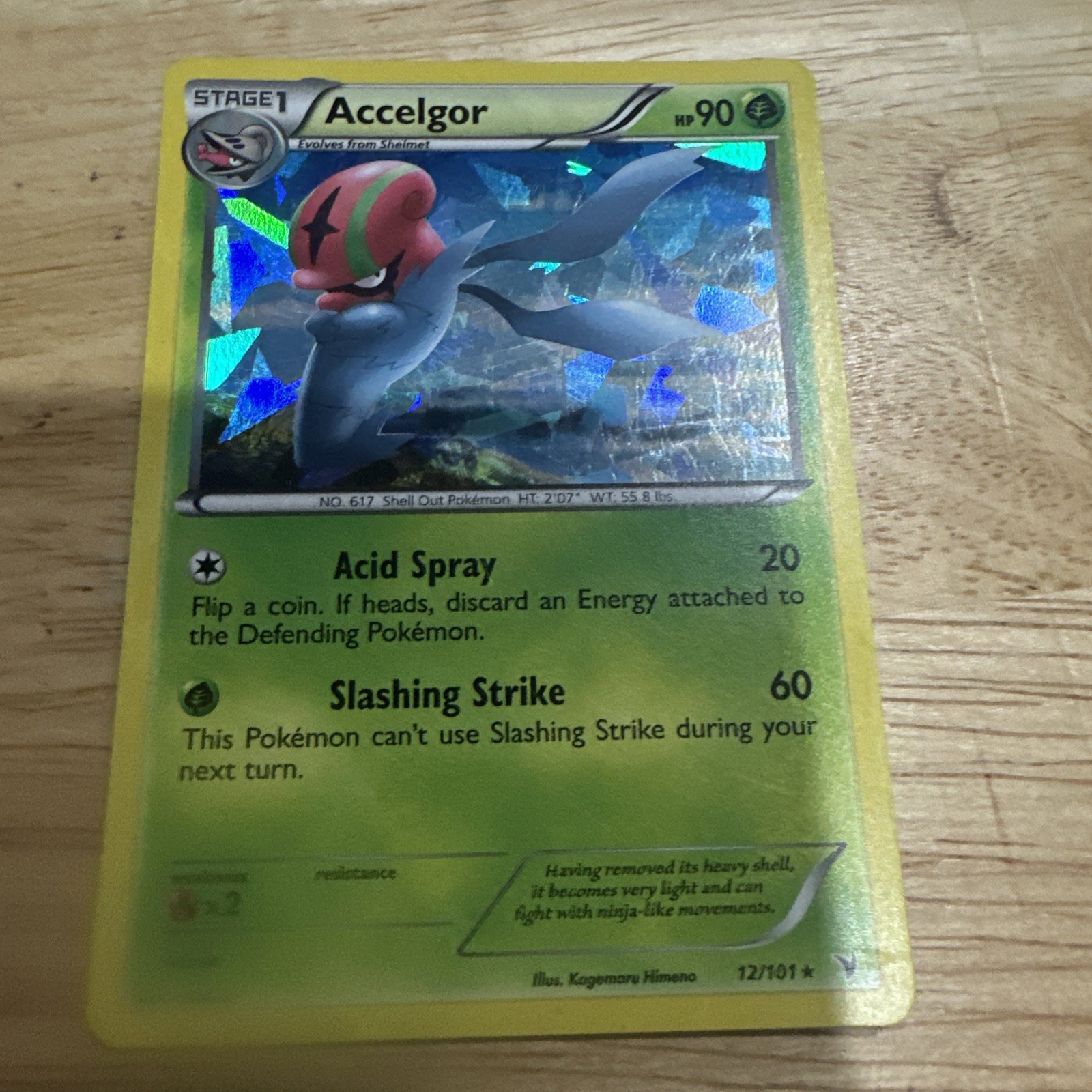 Accelgor - (Cracked Ice Holo) 012/101 Deck Exclusives Holo NM/M