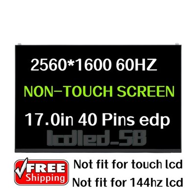 17'' QHD LCD Screen For LG Gram 17Z90Q-K.AAC7U1 17Z90Q-K.ADB9U1 17Z90Q-K.AAB8U1