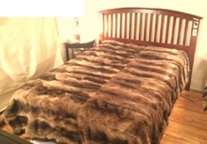 Raccoon 04 Quilt Blanket - Hippievibes