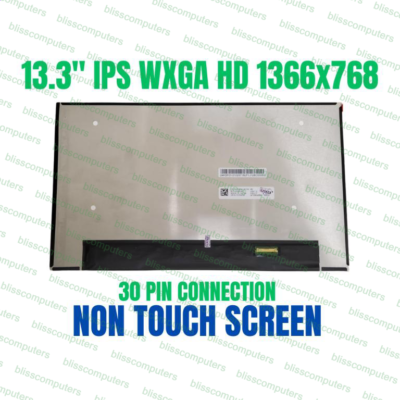 M133NWR9 R0 13.3
