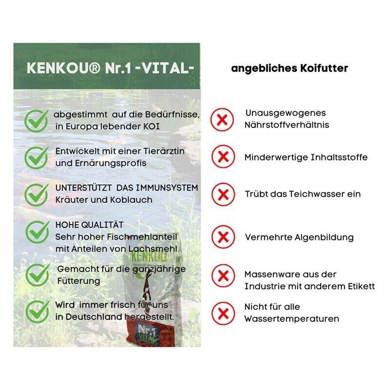 Bild 12 von 13