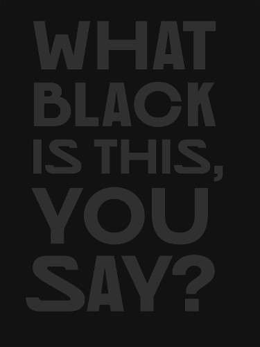 What Black Is This You Say? by Amanda Williams - 9780262049344