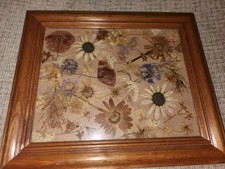 Vintage Pressed Flowers In Picture Frame 8x10