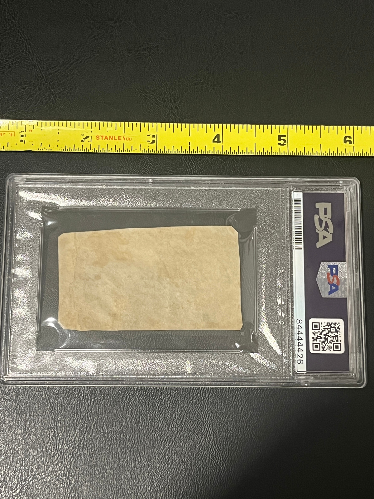 Picture 5 of 5
