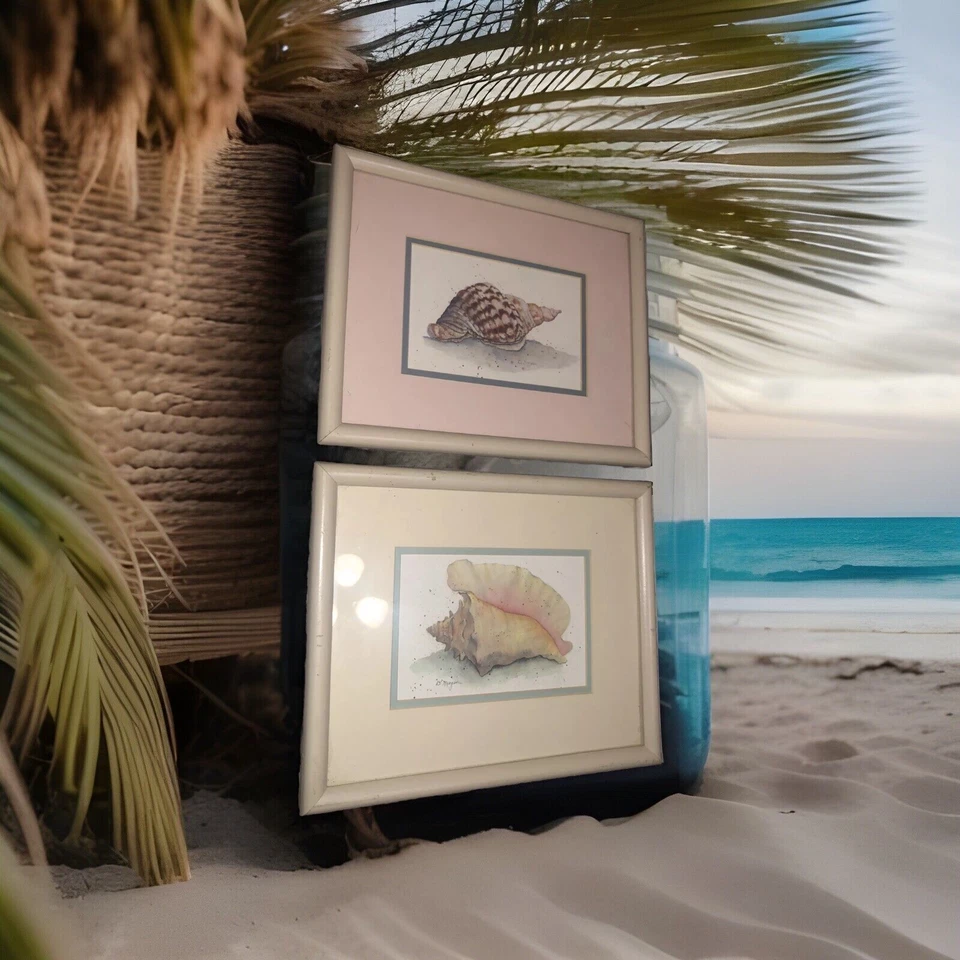 2pc Set Framed Wall Art Prints Picture Seashells. - Image 2 of 4