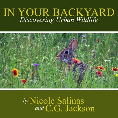 C. G. Jackson (u. a.) | In Your Backyard | Taschenbuch | Englisch (2013)