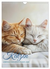 Katzen (Wandkalender 2026 DIN A4 hoch), CALVENDO Monatskalender