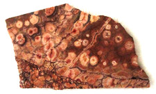Birdseye Rhyolite Slab - 205 Grams  - Mexico - Birds Eye