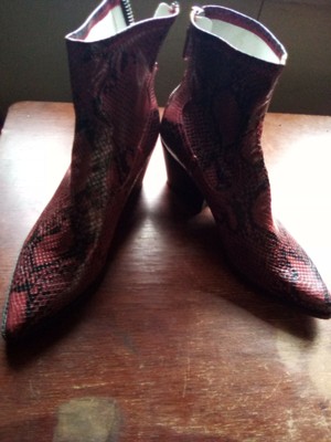 dolce vita snake print shoes