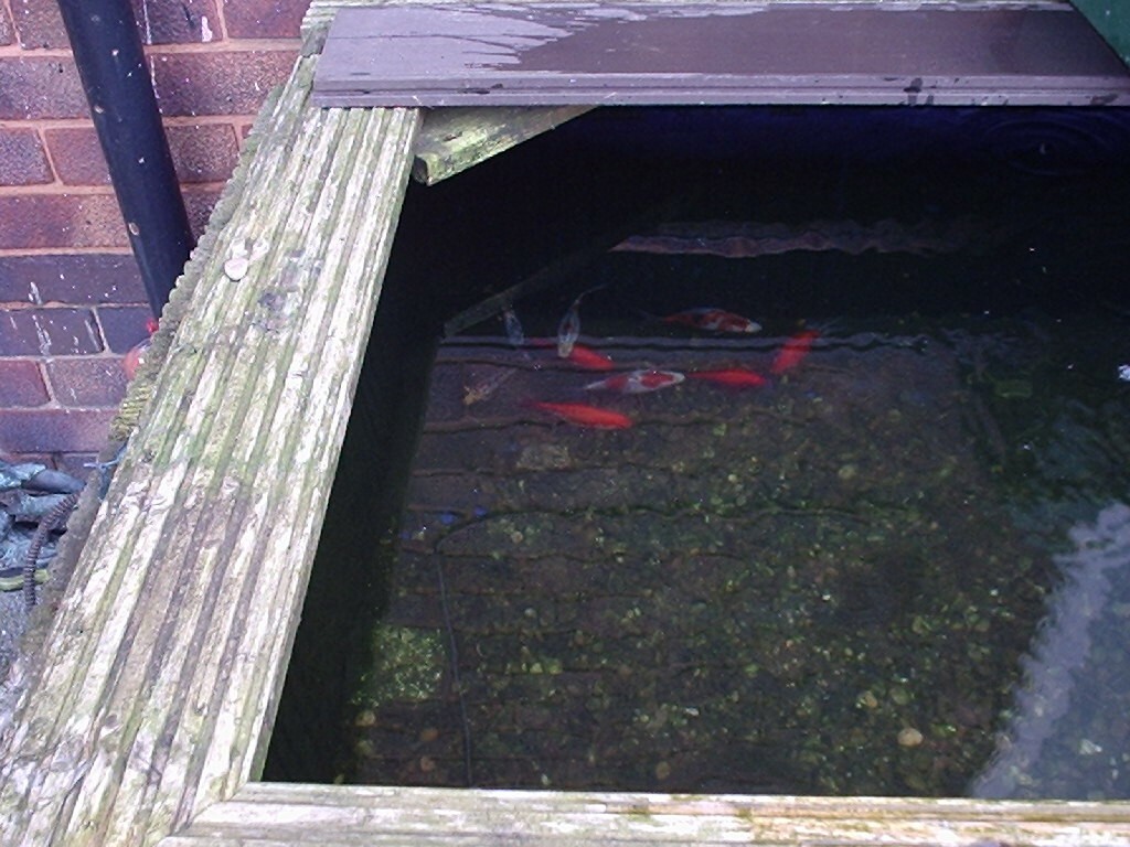 Fish Pond Filters for sale in UK View 68 bargains