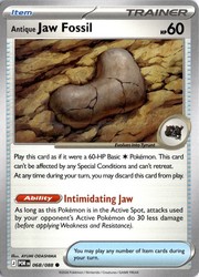 Antique Jaw Fossil 068/088 Perfect Order