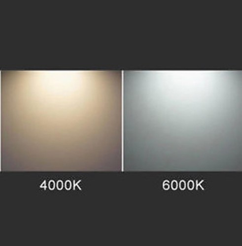 Luz de borde de vidrio Loox 2019 12V 25 mm x 40 mm, para estantes de vidrio, eficiente A++ - Imagen 4 de 4