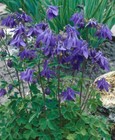 Bild 3 von 4