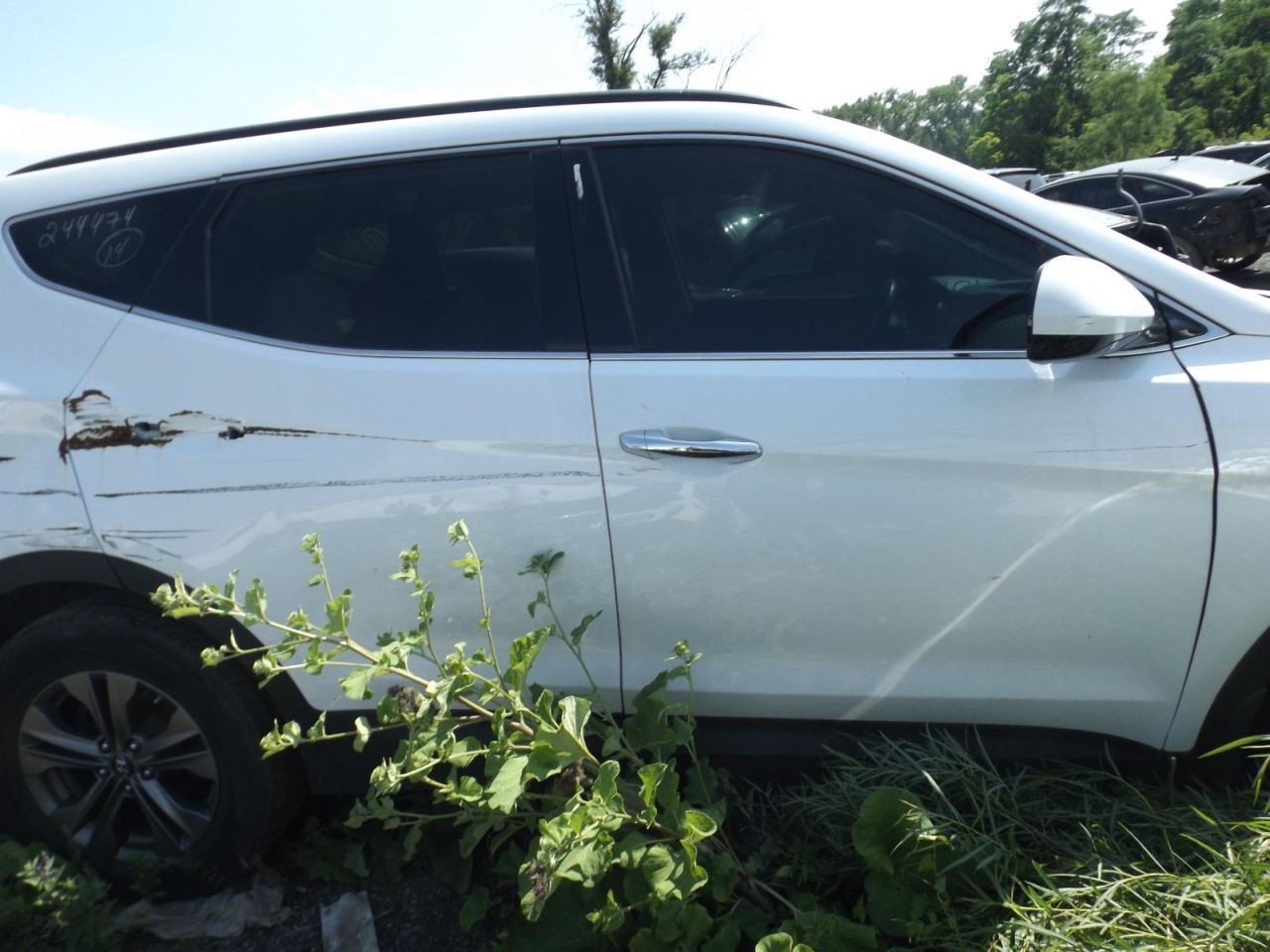 Driver Left Front Door LWB Fits 13-19 SANTA FE 1643982