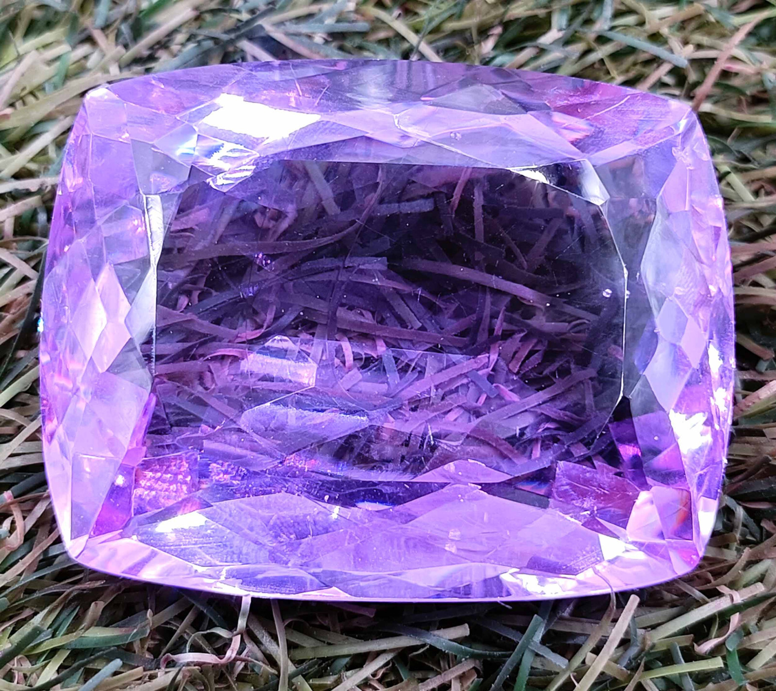 Picture 5 of 13