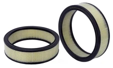Air Filter-FULL HYBRID EV-GAS (FHEV) Wix WA10958
