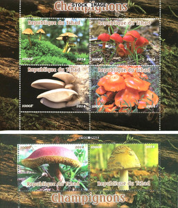 Chad MNH S/S 2014 Mushrooms [Colnect 124-125]