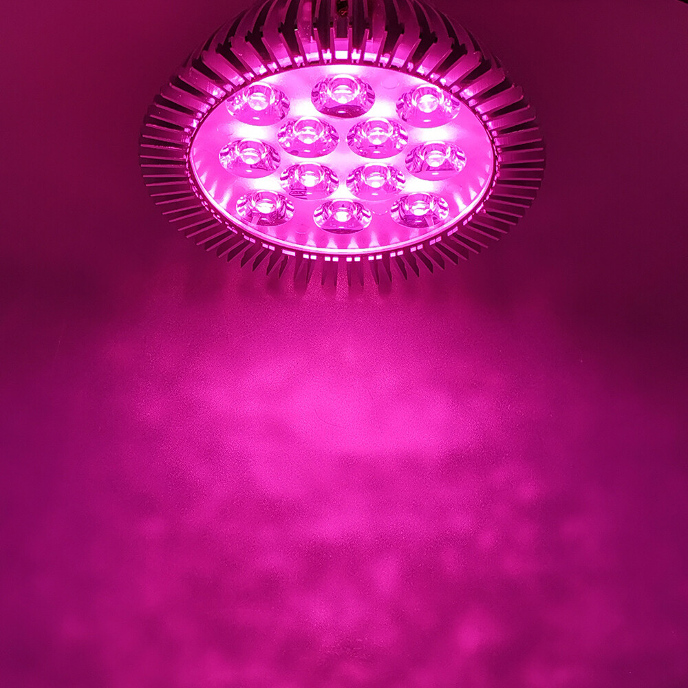 Picture 1 of 7