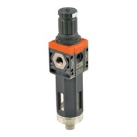 Riegler Filterregler »Syntesi« BG1 G 1/4 20µM 0…2Bar Rmsa O. Mano.